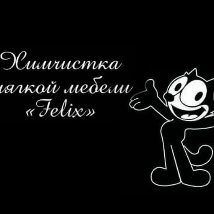 Felix. Химчистка мягкой мебели