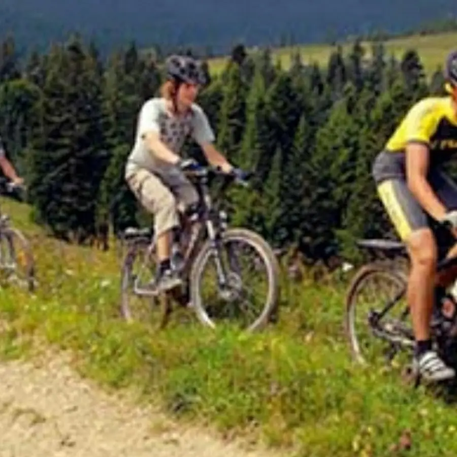 Велопрокат