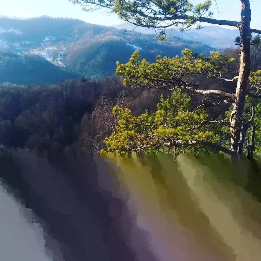 Прокат та ремонт велосипедів. Борис