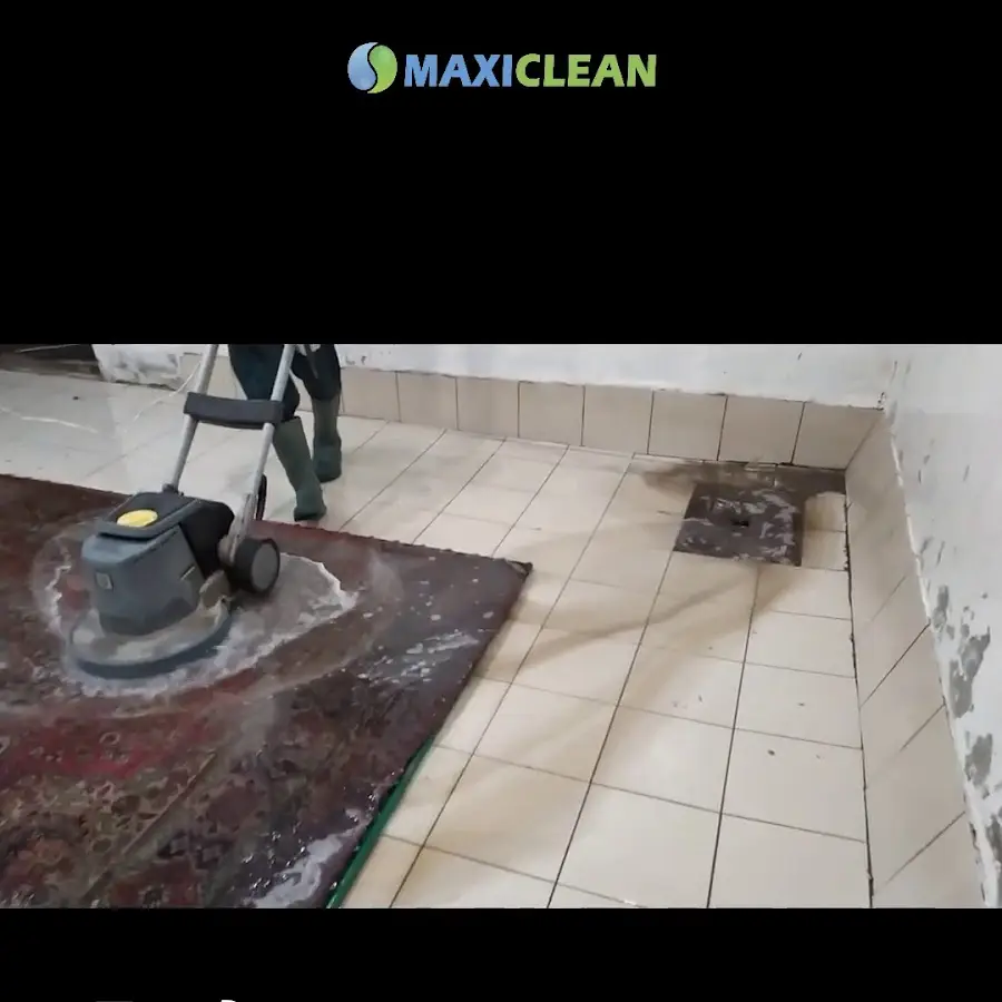 Стирка, химчистка ковров MaxiClean