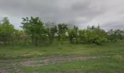 Пиломатеріали