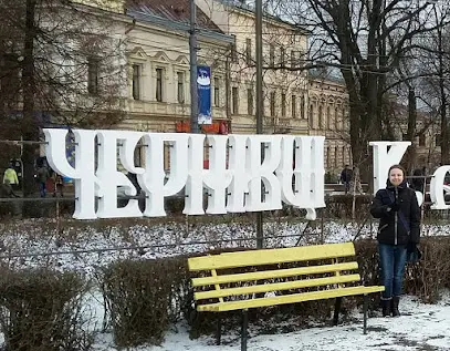 Черновцы Лукьяна Кобылицы