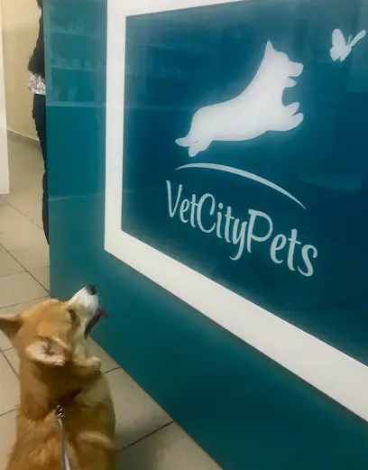 ВЕТЕРИНАРНА КЛІНІКА ПП АЛІМОВ Р.В.