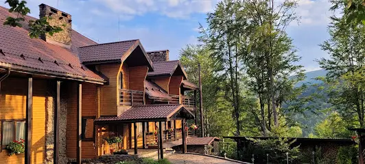 Поляна птахів