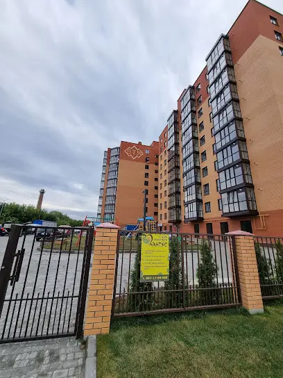 Студія Кактус