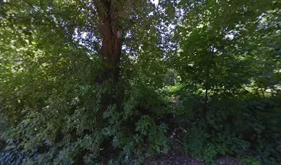 Боря вмятини