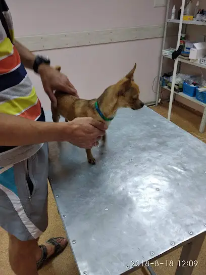 ВетЦентр "Дай Лапу"