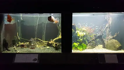 Навчально-науковий комплекс &laquo;Акваріум&raquo; Дніпровського національного університету імені Олеся Гончара