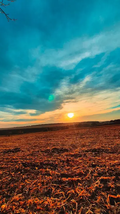 Кирнасівська міська лікарня