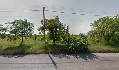 Hotel Restaurant BVD