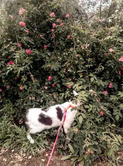 Макеевская общеобразовательная школа № 34