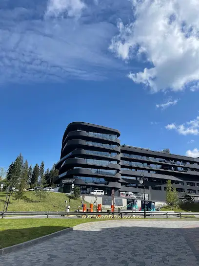 Savoie apartments Bukovel