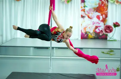 Студия танца на пилоне и полотнах Миледи (филиал 2 - зал №3)