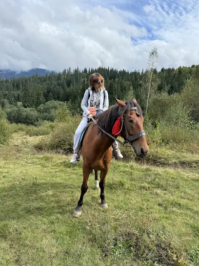 🐴Прогулянки на конях 🐴Кінна стоянка.