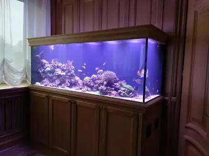 Fish Home Service - дизайн і обслуговування акваріумів