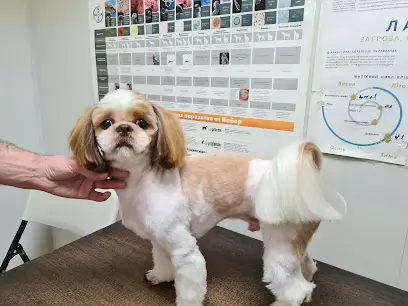 Ветеринарна амбулаторія "Лікар Котoffський"