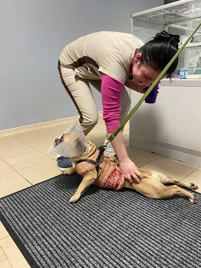 Аміка, Ветеринарна клініка