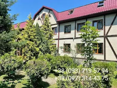 Дитячий табір Карпатський Фенікс