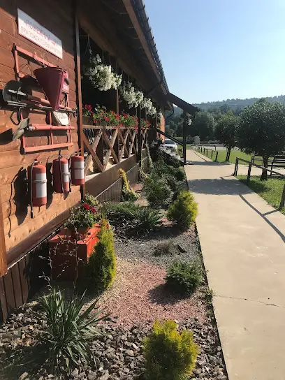 Табір &laquo;Золота генерація&raquo;