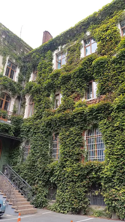 Український науково-дослідний інститут гірського лісівництва імені П. С. Пастернака