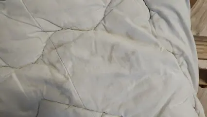 Химчистка "Европейская"