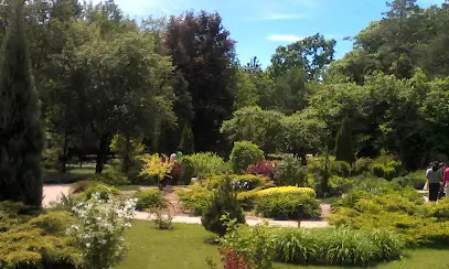 Донецький ботанічний сад