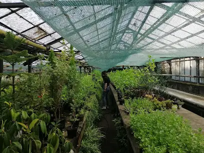 Ботанічний сад Дніпровського Національного Університету