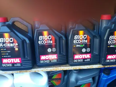 Автомасла Михаил wolver