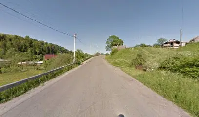 Загородний дім