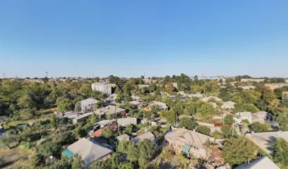 Все з дерева