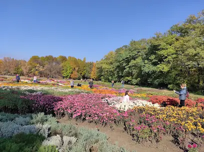 Криворізький ботанічний сад НАН України