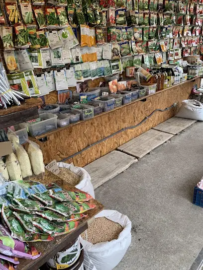 Центральний продуктовий ринок