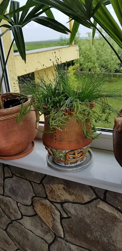 Blue Eyes Beauty Club