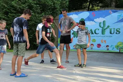 Детский языковой лагерь Cactus (Кактус)