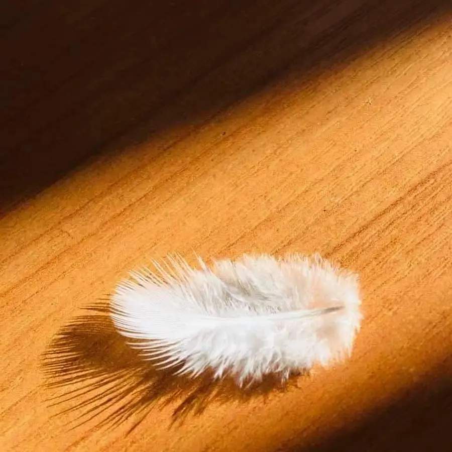 Ребёфинг, дыхательные практики