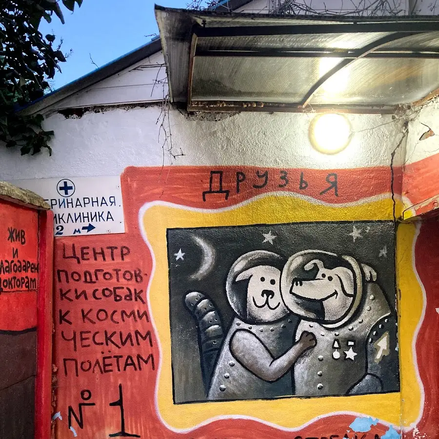 АГВЕТ, ВЕТ. КЛІНІКА