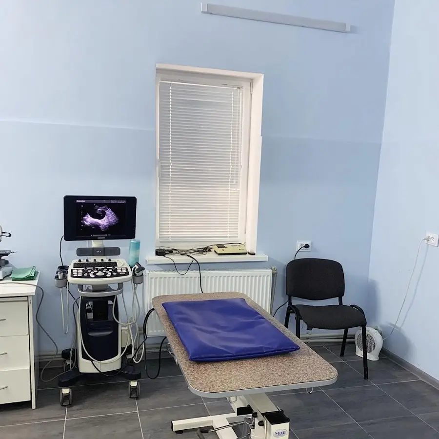 Міська ветеринарна клініка