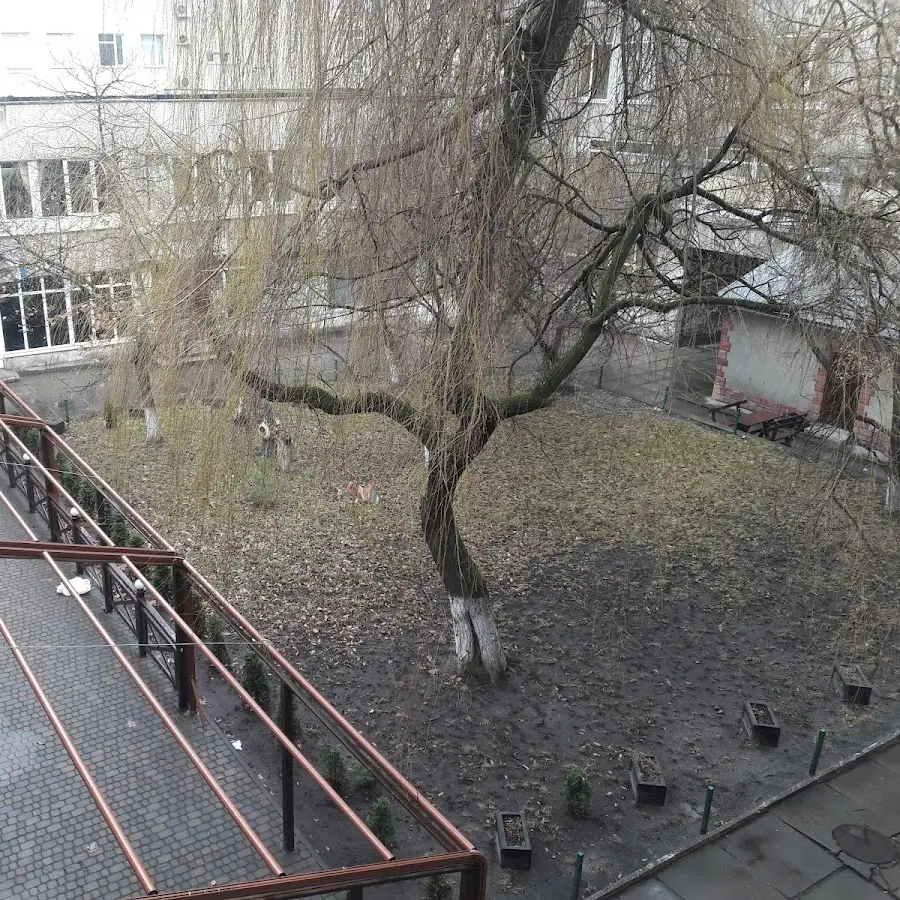 Телеателье