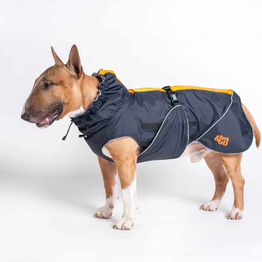 Bark&Go
