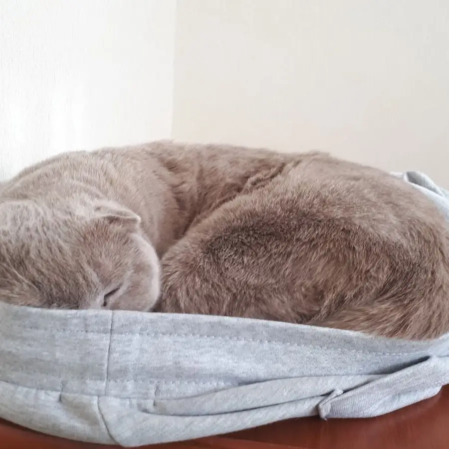 Ветеринарна клініка &laquo;Ветсервіс&raquo;