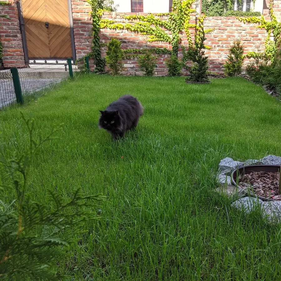 Кабінет ветеринарної медицини &laquo;Айболить&raquo;