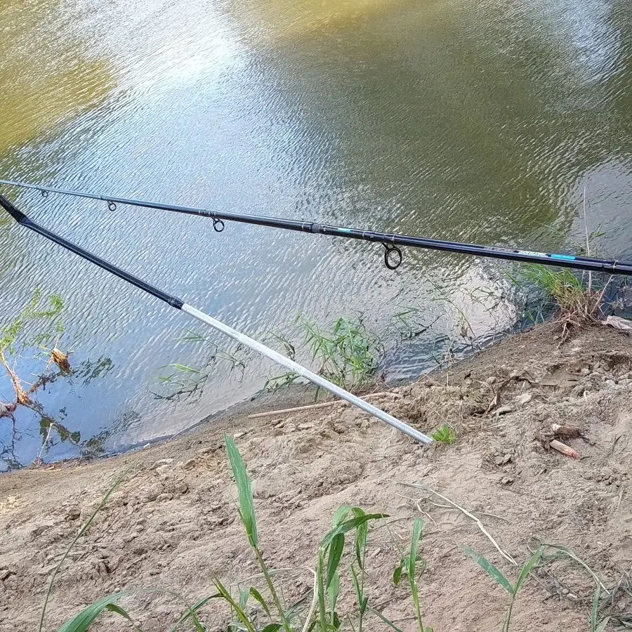 Миколаївська районна державна лікарня ветеринарної медицини