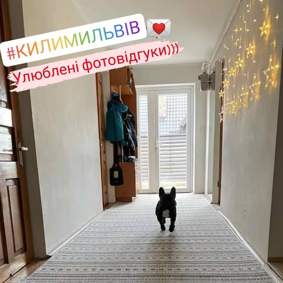 Країна Килимів