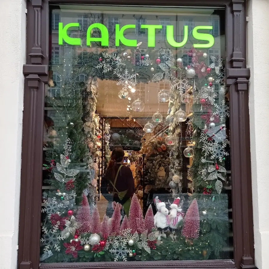 Kaktus