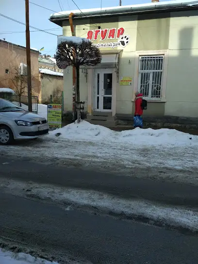 Магазин "Ягуар"