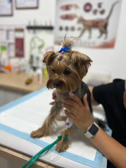 Ветеринарна клініка "HealthVet"