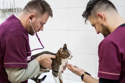 Ветеринарний центр "VetMed"