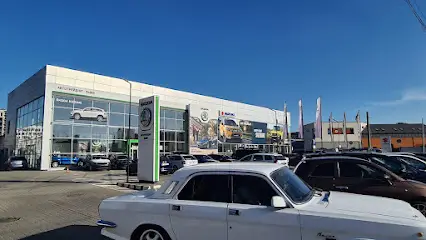 Автозапчастини SKODA auto