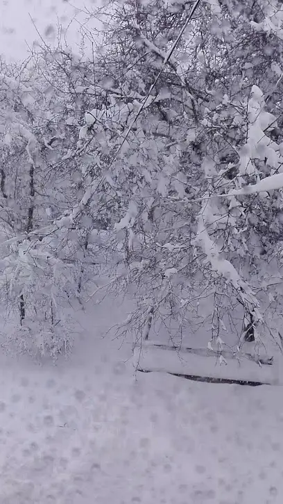 Рум&rsquo;янець Кури Гриль