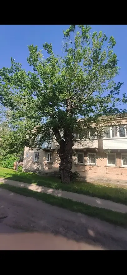 Казкове дерево